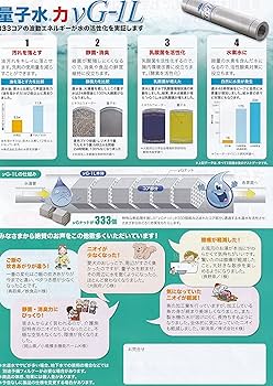 Amazon.co.jp: ウエルネス 量子水 νG-1L（ニュージーワンエル